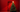 How to Decorate Your Christmas Tree with LED Lights?