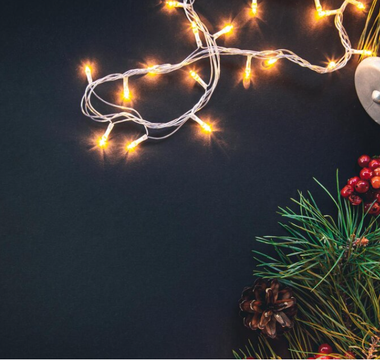 LED Christmas Lights Buying Guide